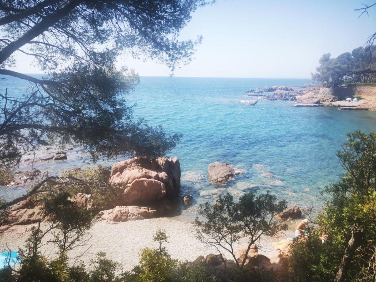 Mobil Home Neuf Camping L Ile Dor Plage St Raphael Avec Piscine Saint-Raphaël Εξωτερικό φωτογραφία