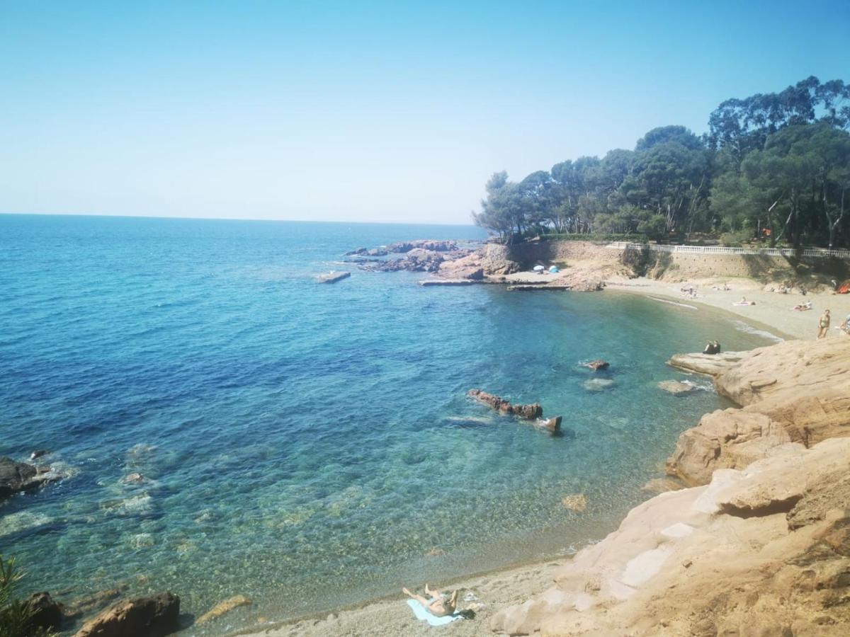 Mobil Home Neuf Camping L Ile Dor Plage St Raphael Avec Piscine Saint-Raphaël Εξωτερικό φωτογραφία